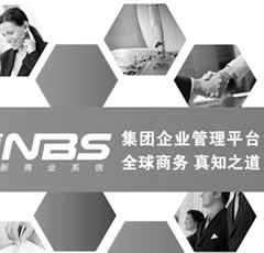 集团(tuan)企业管(guan)理-NBS