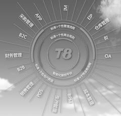 中(zhong)型企业管理(li)-T8